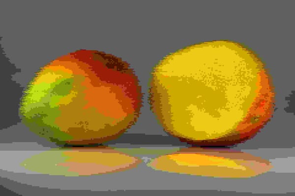 MANGO